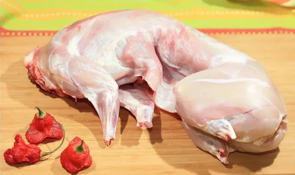Домашний кролик