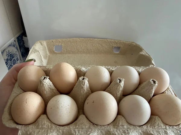 Домашние куриные яйца