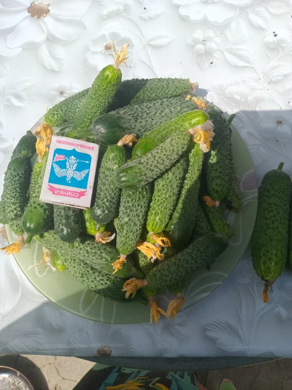 Огурчики