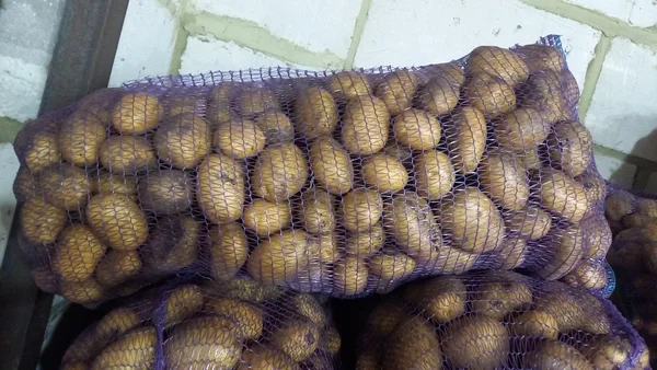 Картофель