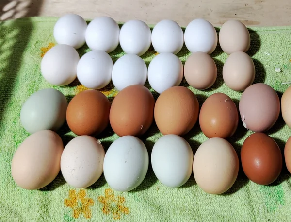 Яйцо куриное домашнее