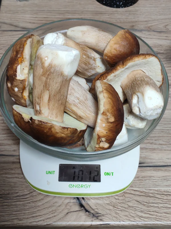 Свежие грибы