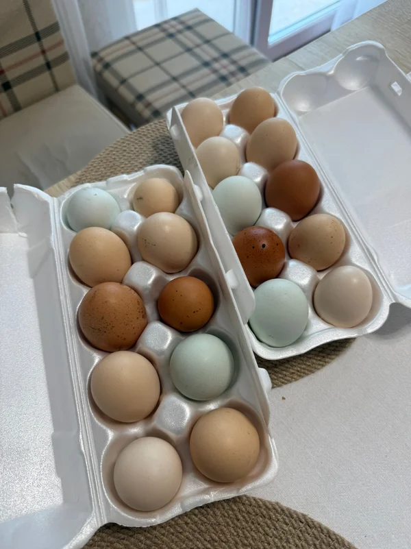 Куриные яйца