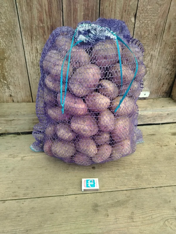 Картофель
