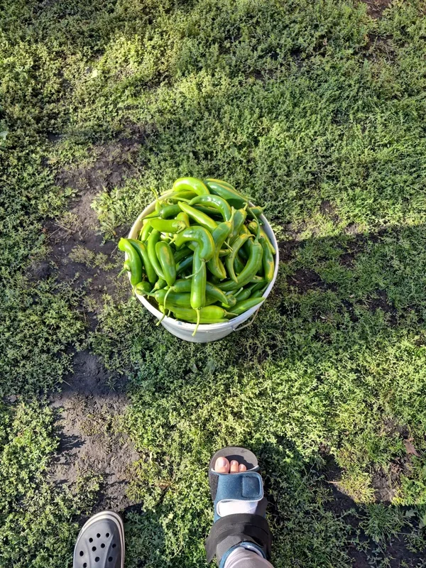 Не указано