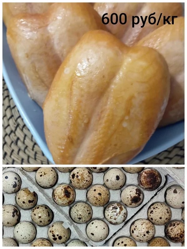 Перепелиные яйца