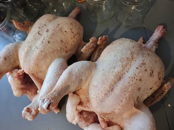 Курочки бройлерные