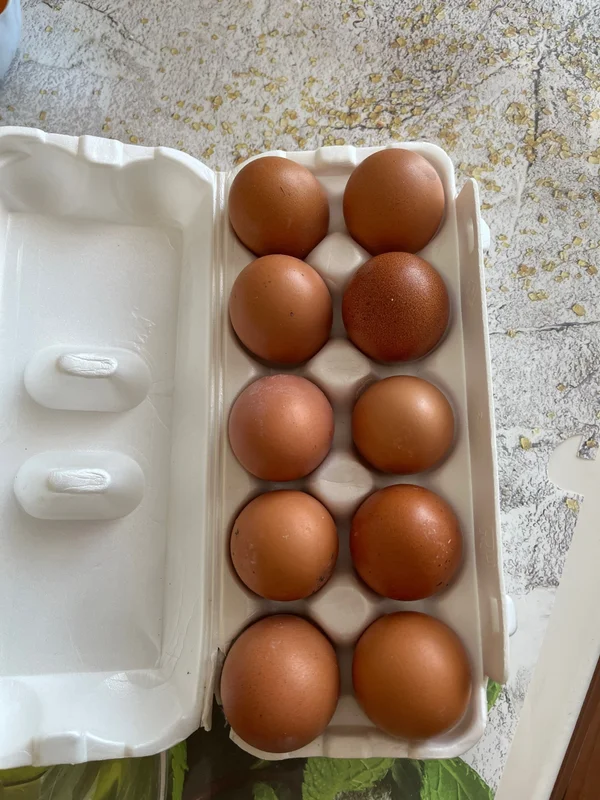 Куриные яйца