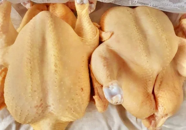 Курочки бройлеры