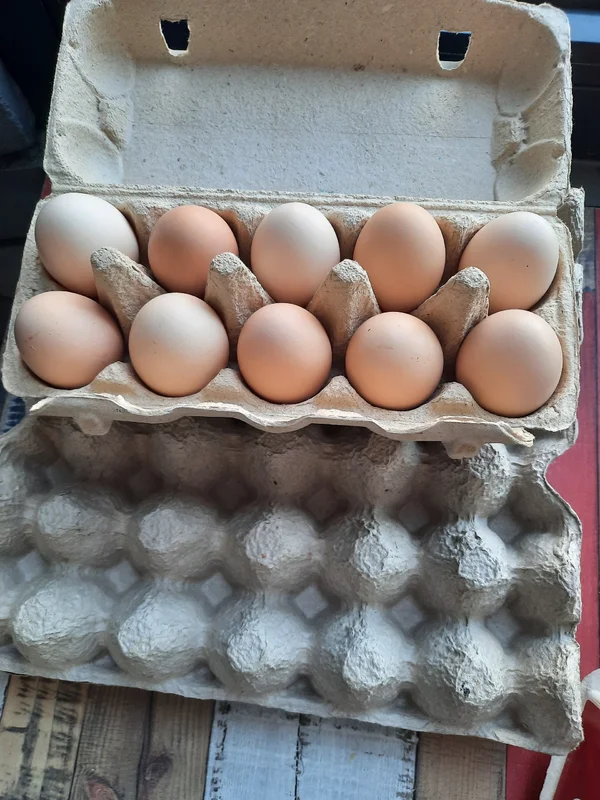 Куриные яички