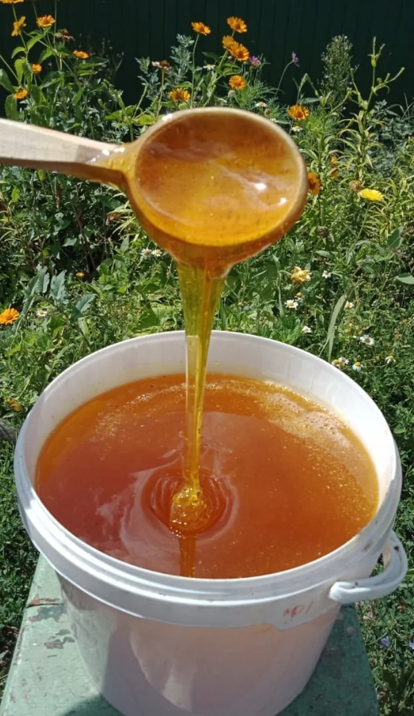 Натуральный мёд (разнотравье)