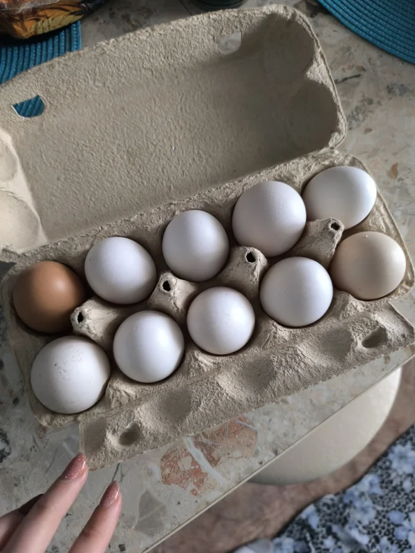 Помидоры ассорти (большие мясистые и поменьше)