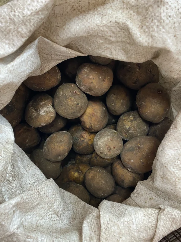 Картошка деревенская