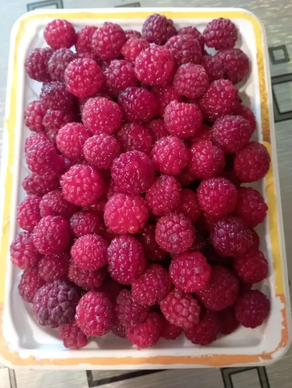 Малина
