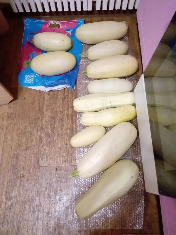 Кабачки