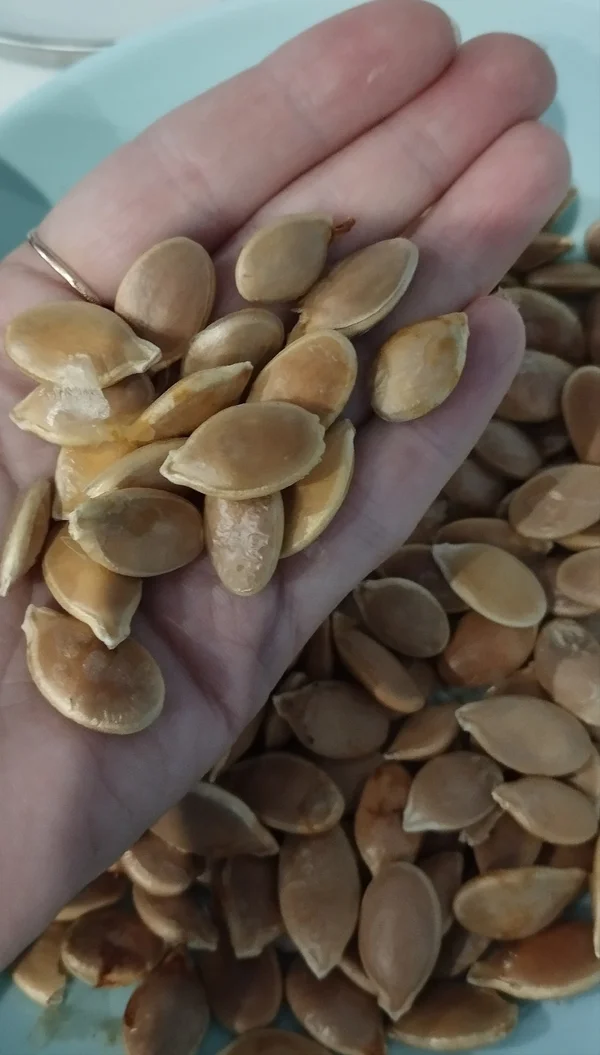 Тыквенные семечки