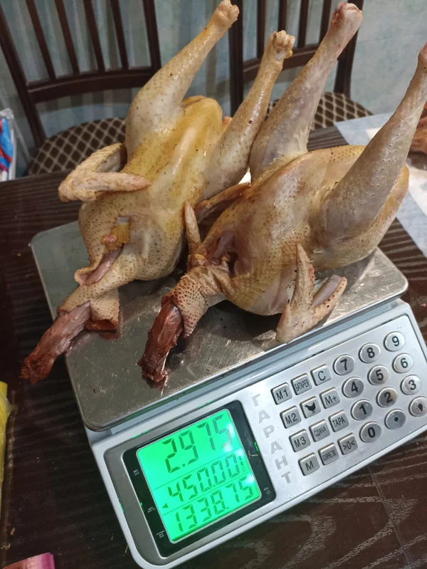 Петушок