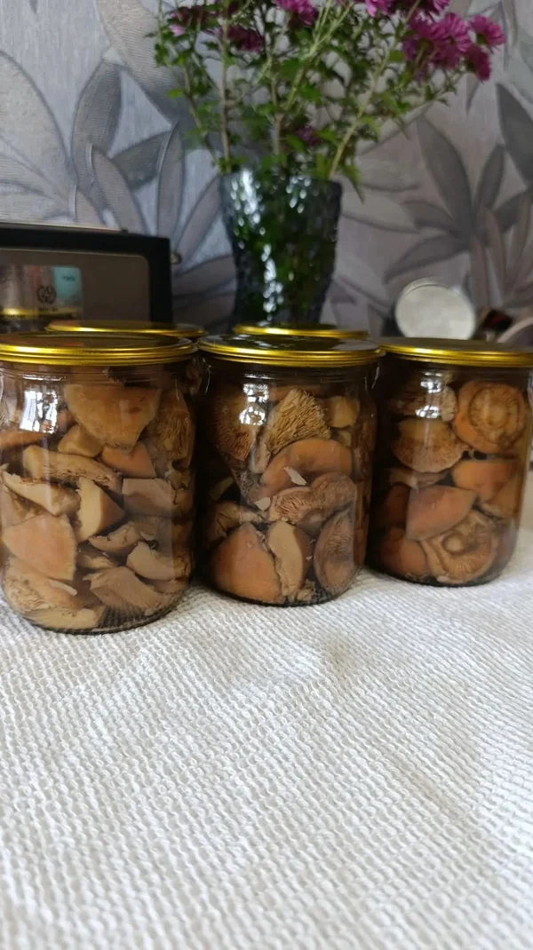Рыжики маринованные