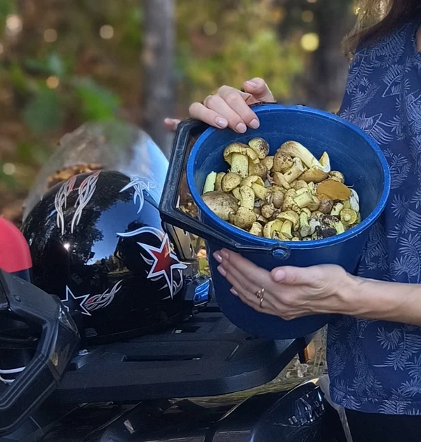 Зеленушки