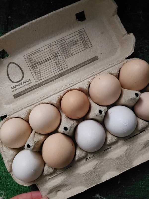 Домашние куриные яйца