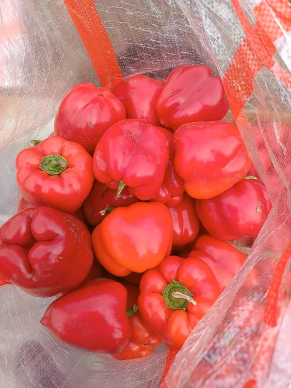 Перец красный сладкий