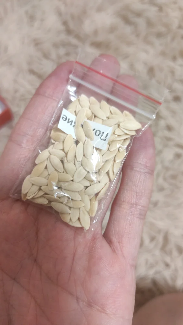 Семена огурцов