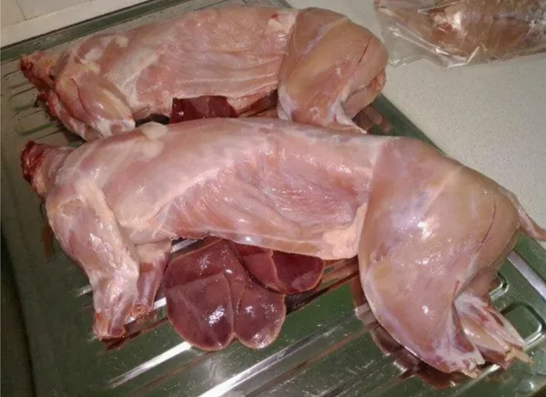 Мясо кролика