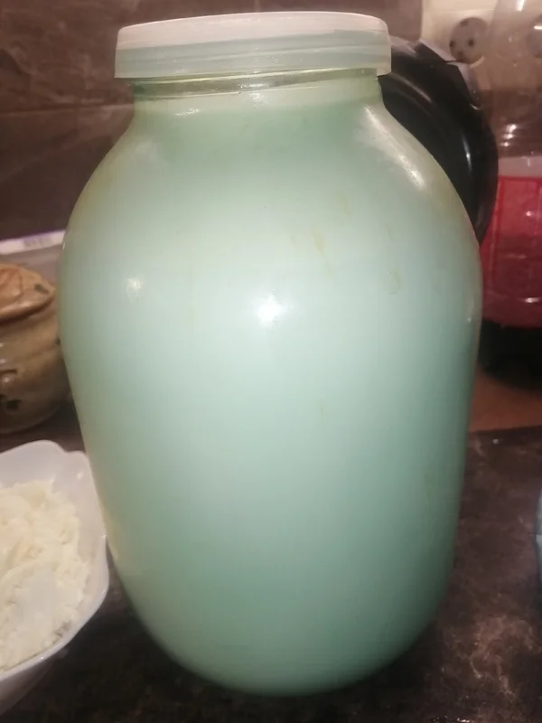Куриное яйцо