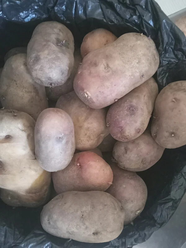 Картофель