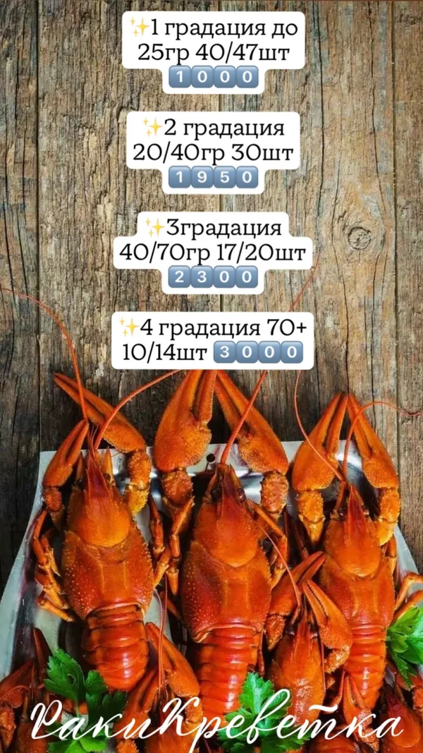 Рак