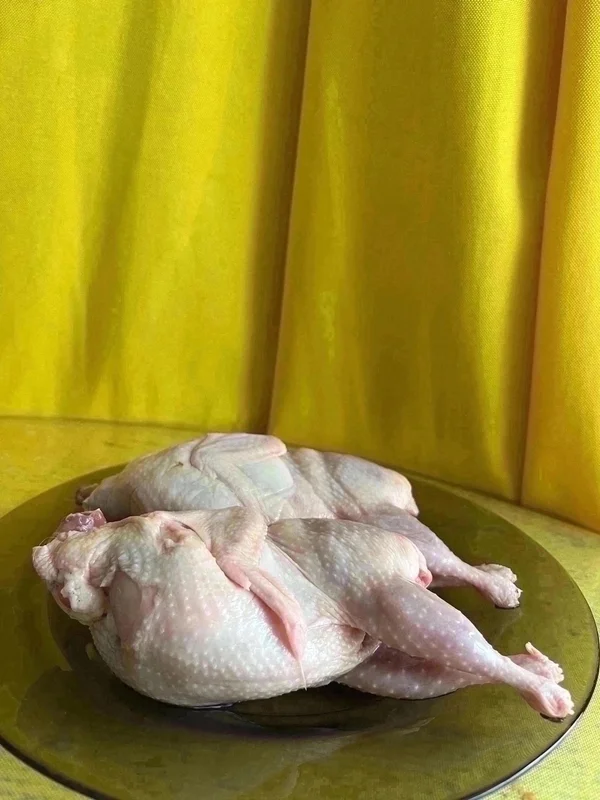 Тушки домашних перепелов