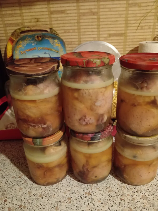 Курочки молодые