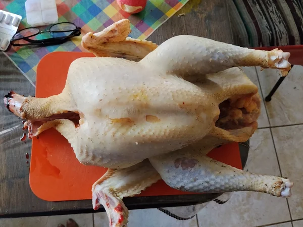 Индейка домашняя