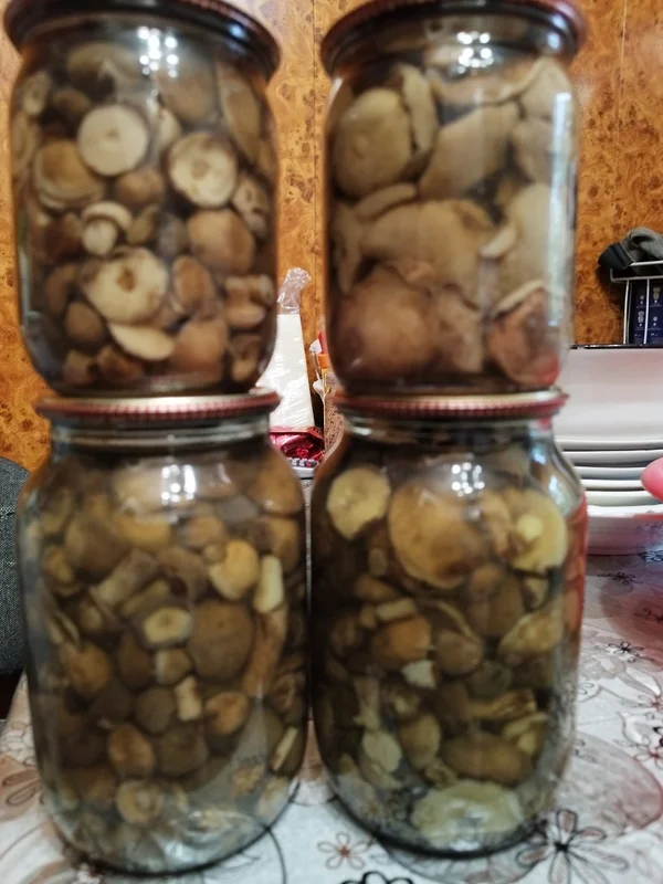 Маслята маринованные