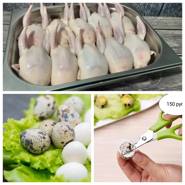 Мясо перепелов