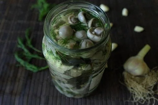 Маринованные грибы синяя ножка