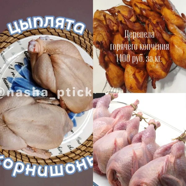 ЦЫПЛЯТА КОРНИШОНЫ