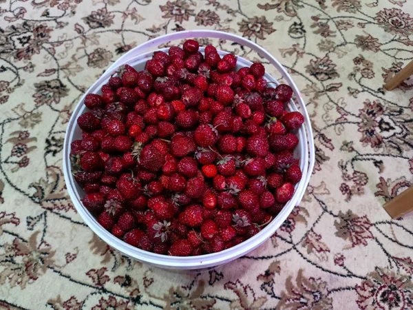 Клубника