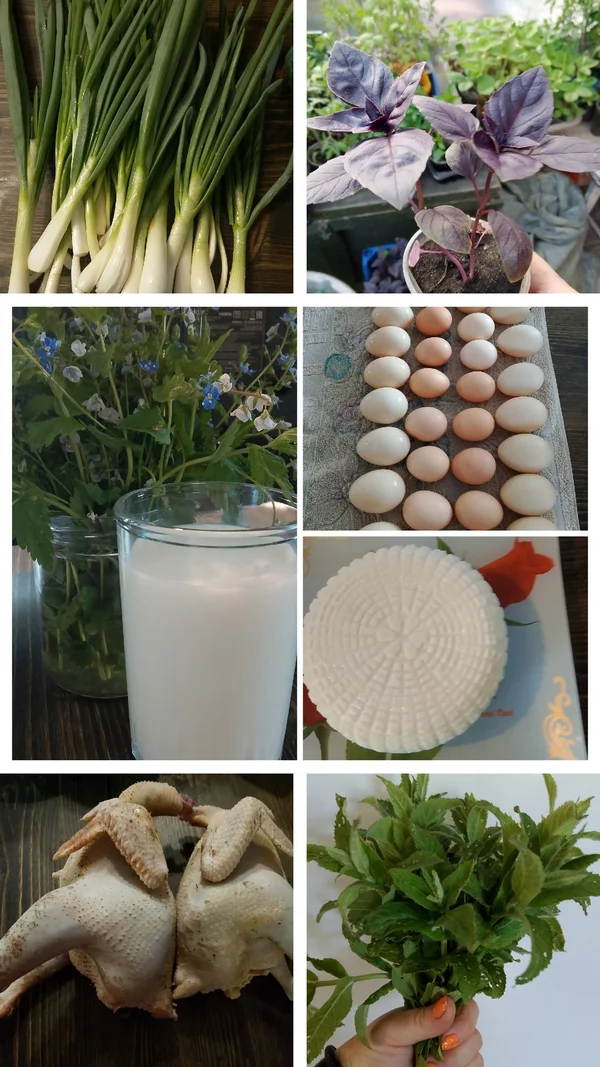 Яйца куриные