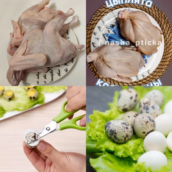 БУЛЬОННЫЕ ПЕТУШКИ (молодые)