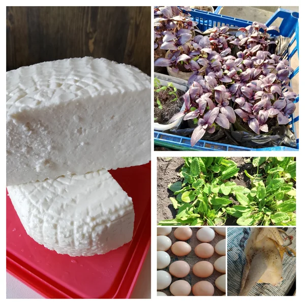 Яйца куриные
