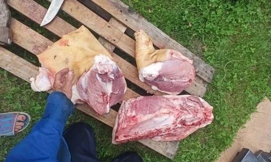Домашняя свинина