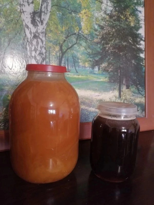 Алтайский мед