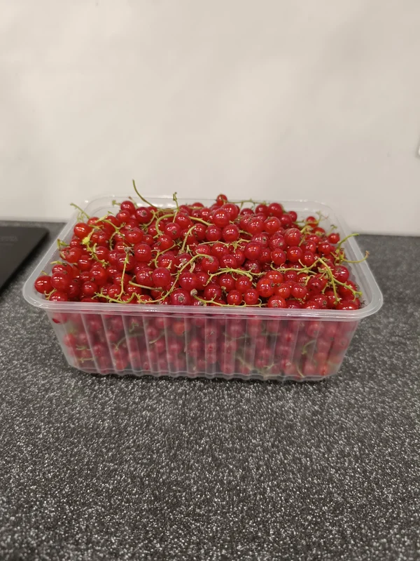 Смородина