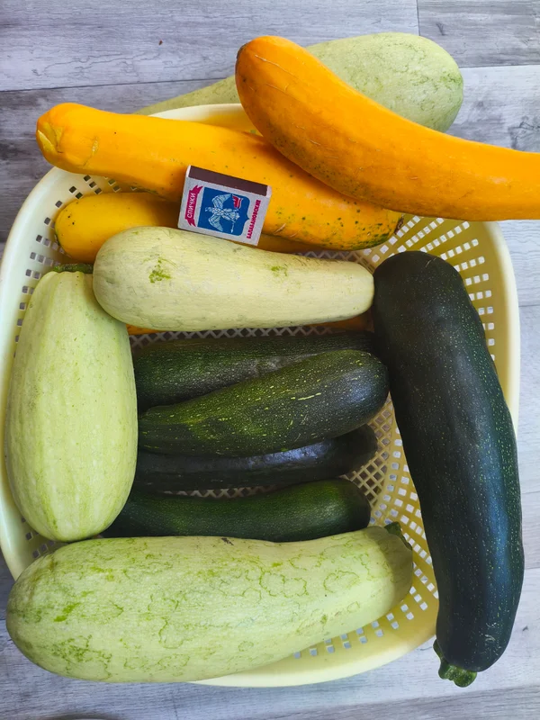 Кабачки