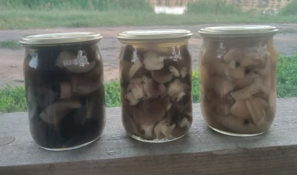 Подберёзовики маринованные