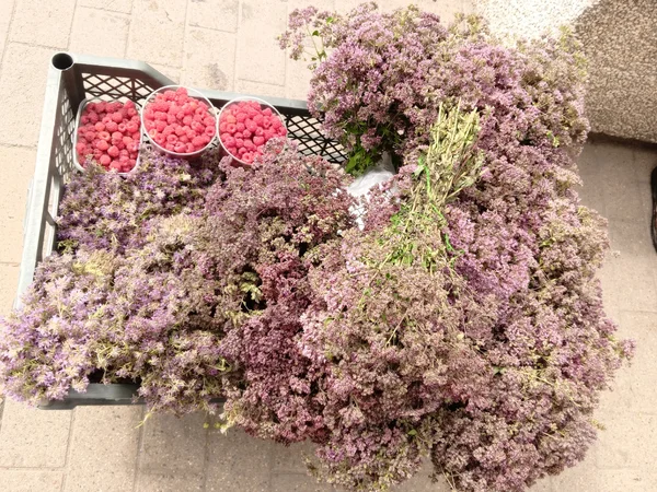Чабрец