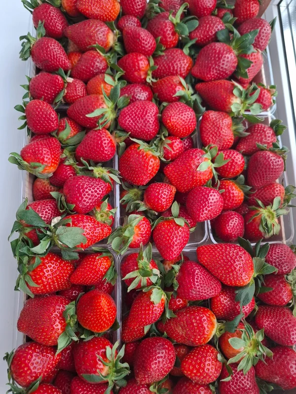 Грецкая клубника