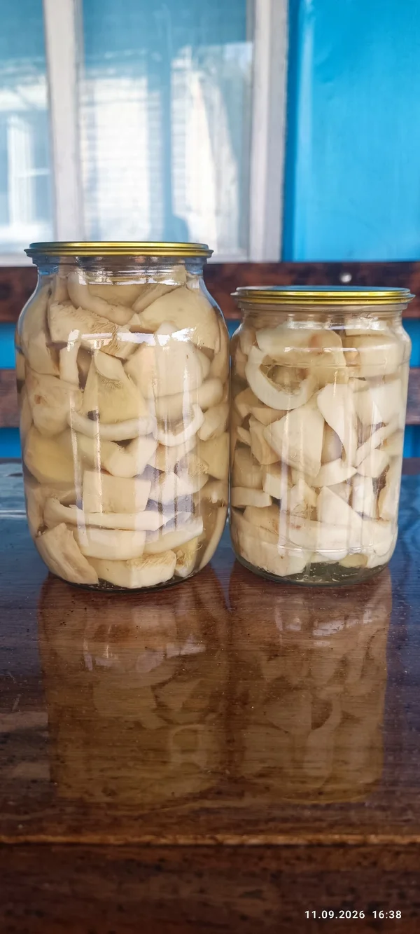 Грузди маринованные