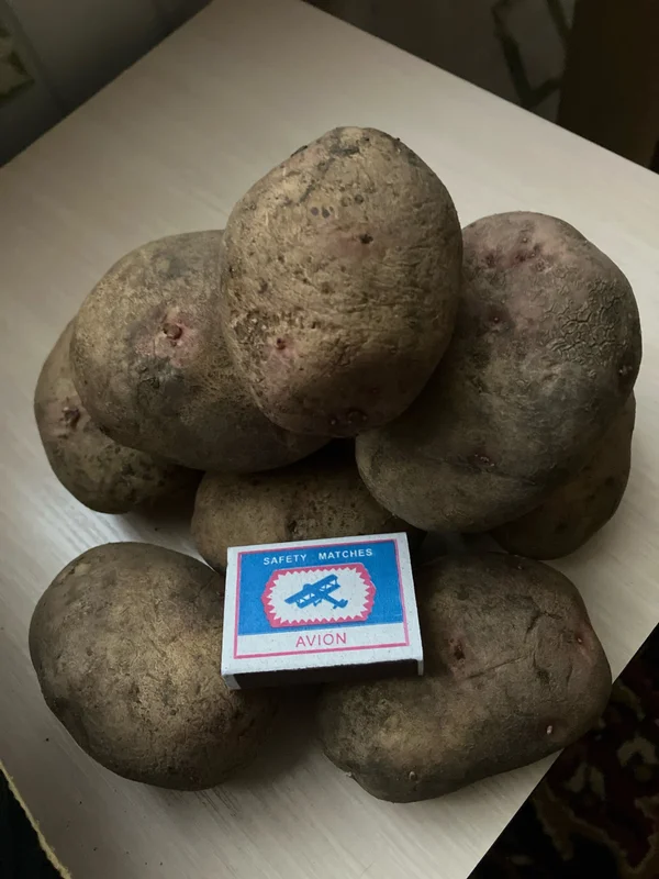 Картофель Пикассо